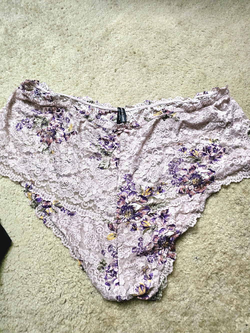 Torrid Lace Floral Bikini Briefs - Light Pink 6x